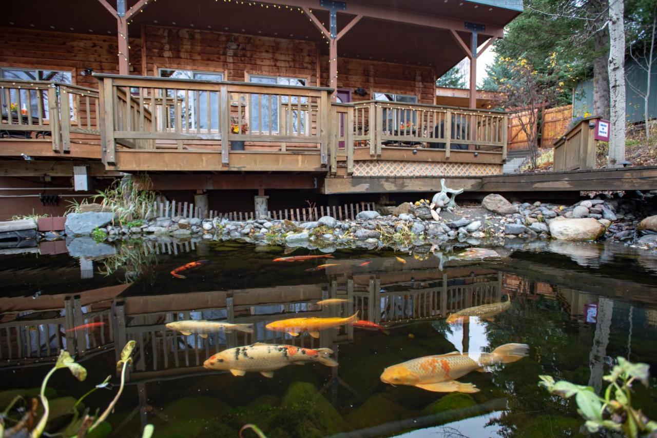 Bear Creek Winery And Lodging Bed and Breakfast Homer Eksteriør billede