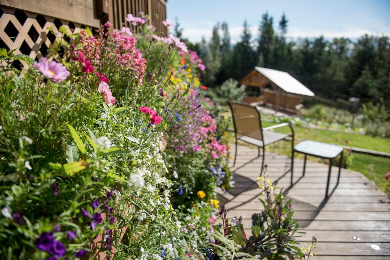 Bear Creek Winery And Lodging Bed and Breakfast Homer Eksteriør billede